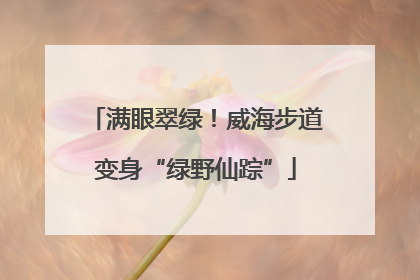 满眼翠绿！威海步道变身“绿野仙踪”