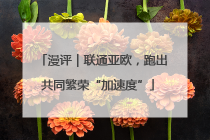 漫评｜联通亚欧，跑出共同繁荣“加速度”