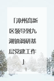 漳州高新区领导到九湖镇调研基层党建工作