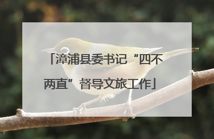 漳浦县委书记“四不两直”督导文旅工作