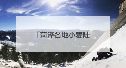 菏泽各地小麦陆续进入成熟收获期 多措并举确保夏粮颗粒归仓