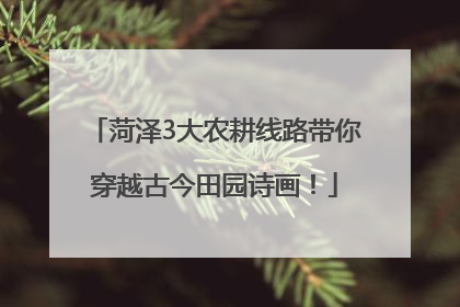 菏泽3大农耕线路带你穿越古今田园诗画！