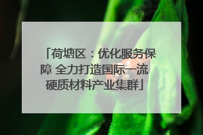荷塘区：优化服务保障 全力打造国际一流硬质材料产业集群