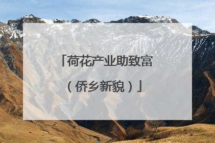 荷花产业助致富（侨乡新貌）