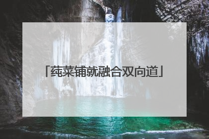 莼菜铺就融合双向道