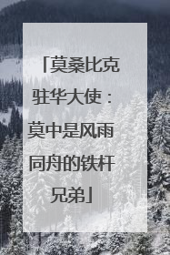 莫桑比克驻华大使：莫中是风雨同舟的铁杆兄弟