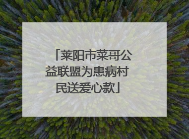 莱阳市菜哥公益联盟为患病村民送爱心款