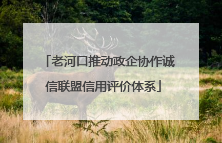 老河口推动政企协作诚信联盟信用评价体系