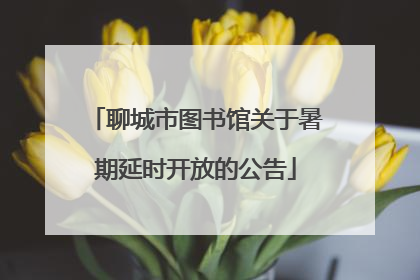 聊城市图书馆关于暑期延时开放的公告