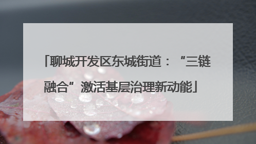 聊城开发区东城街道：“三链融合”激活基层治理新动能