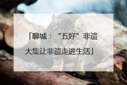 聊城：“五好”非遗大集让非遗走进生活