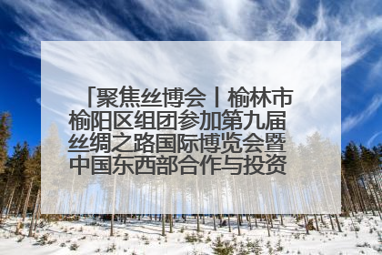 聚焦丝博会丨榆林市榆阳区组团参加第九届丝绸之路国际博览会暨中国东西部合作与投资贸易洽谈会
