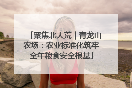聚焦北大荒｜青龙山农场：农业标准化筑牢全年粮食安全根基
