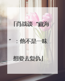 肖战谈“藏海”：他不是一味想要去复仇