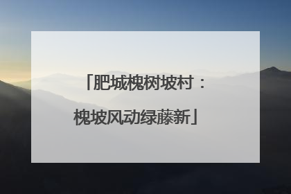 肥城槐树坡村：槐坡风动绿藤新