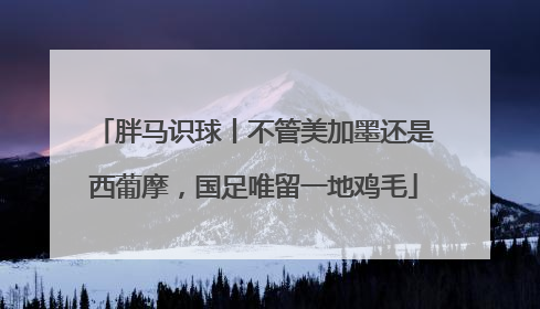胖马识球丨不管美加墨还是西葡摩，国足唯留一地鸡毛