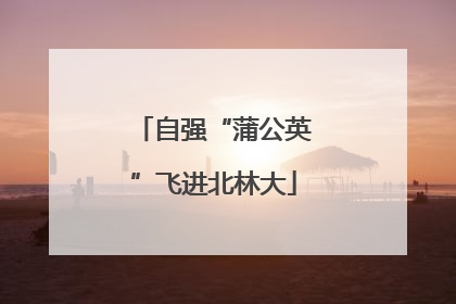 自强“蒲公英”飞进北林大