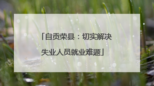 自贡荣县：切实解决失业人员就业难题