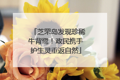 芝罘岛发现珍稀牛背鹭！政民携手护生灵重返自然