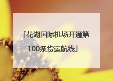 花湖国际机场开通第100条货运航线
