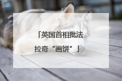 英国首相批法拉奇“画饼”