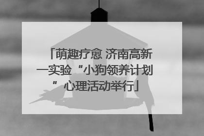萌趣疗愈 济南高新一实验“小狗领养计划”心理活动举行