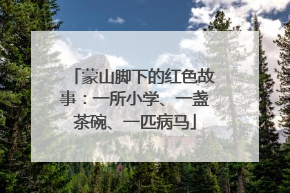 蒙山脚下的红色故事：一所小学、一盏茶碗、一匹病马