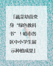 蔬菜幼苗变身“绿色教科书”！哈市各区中小学生展示种植成果