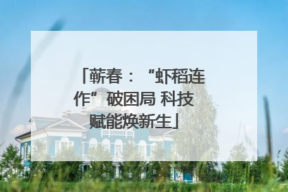 蕲春：“虾稻连作”破困局 科技赋能焕新生