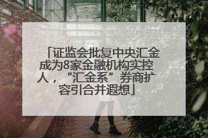 证监会批复中央汇金成为8家金融机构实控人，“汇金系”券商扩容引合并遐想