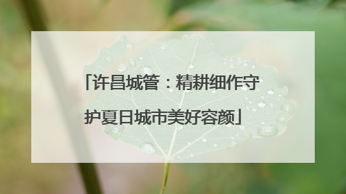 许昌城管：精耕细作守护夏日城市美好容颜