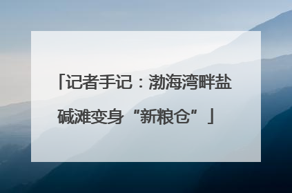 记者手记：渤海湾畔盐碱滩变身“新粮仓”