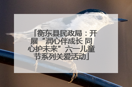衡东县民政局：开展“润心伴成长 同心护未来”六一儿童节系列关爱活动