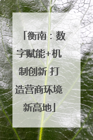 衡南：数字赋能+机制创新 打造营商环境新高地