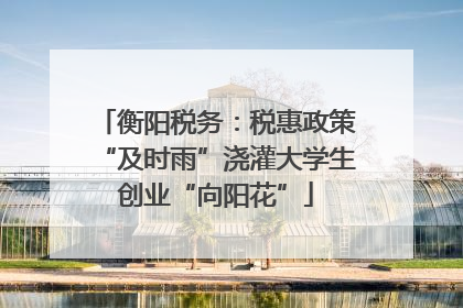 衡阳税务：税惠政策“及时雨”浇灌大学生创业“向阳花”
