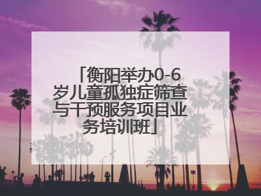 衡阳举办0-6岁儿童孤独症筛查与干预服务项目业务培训班