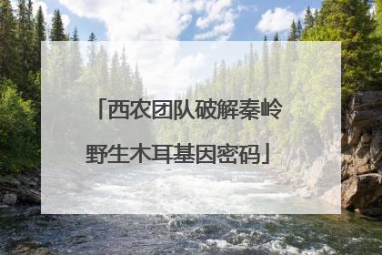 西农团队破解秦岭野生木耳基因密码