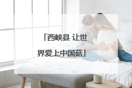 西峡县 让世界爱上中国菇