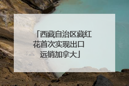 西藏自治区藏红花首次实现出口 远销加拿大