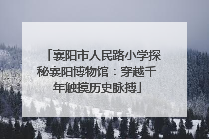 襄阳市人民路小学探秘襄阳博物馆：穿越千年触摸历史脉搏
