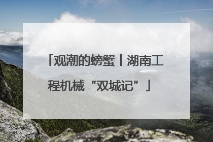观潮的螃蟹丨湖南工程机械“双城记”
