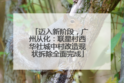 迈入新阶段，广州从化：联星村西华社城中村改造现状拆除全面完成