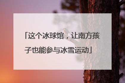 这个冰球馆，让南方孩子也能参与冰雪运动
