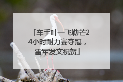 车手叶一飞勒芒24小时耐力赛夺冠，雷军发文祝贺