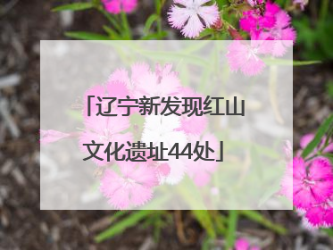 辽宁新发现红山文化遗址44处