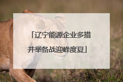 辽宁能源企业多措并举备战迎峰度夏