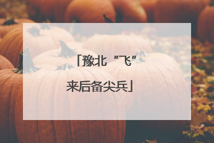 豫北“飞”来后备尖兵
