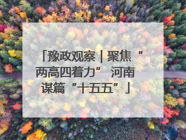 豫政观察｜聚焦“两高四着力” 河南谋篇“十五五”
