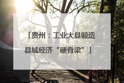 贵州：工业大县锻造县域经济“硬脊梁”