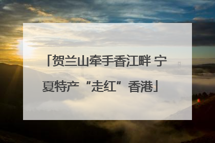 贺兰山牵手香江畔 宁夏特产“走红”香港